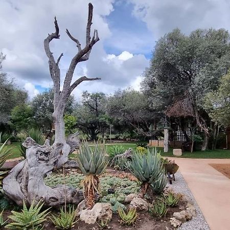 Olienhoff Guesthouse And Rest Camp Otavi Εξωτερικό φωτογραφία