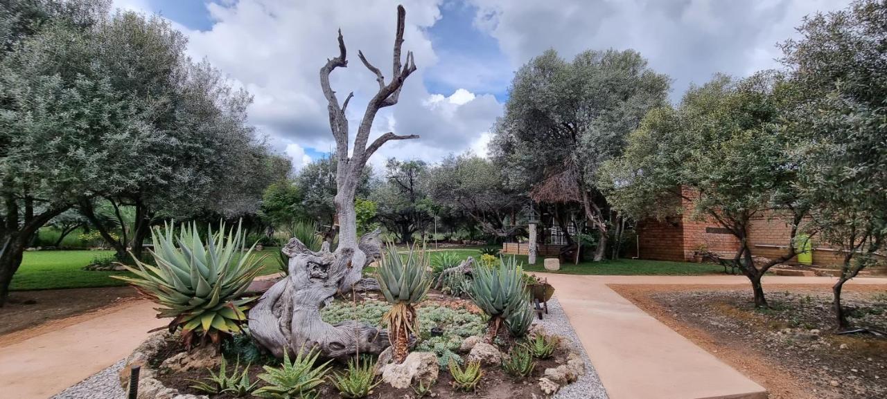 Olienhoff Guesthouse And Rest Camp Otavi Εξωτερικό φωτογραφία
